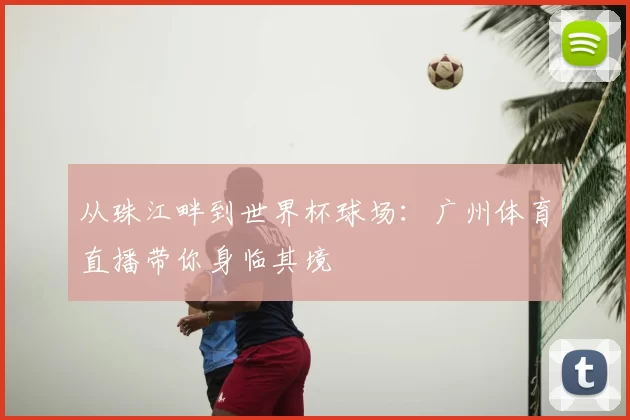 从珠江畔到世界杯球场：广州体育直播带你身临其境