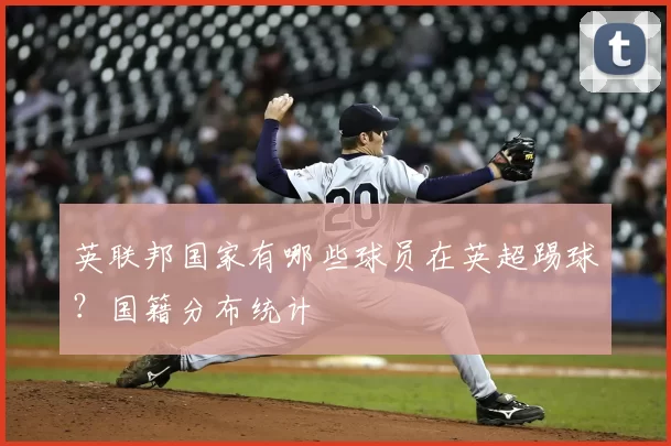 英联邦国家有哪些球员在英超踢球？国籍分布统计