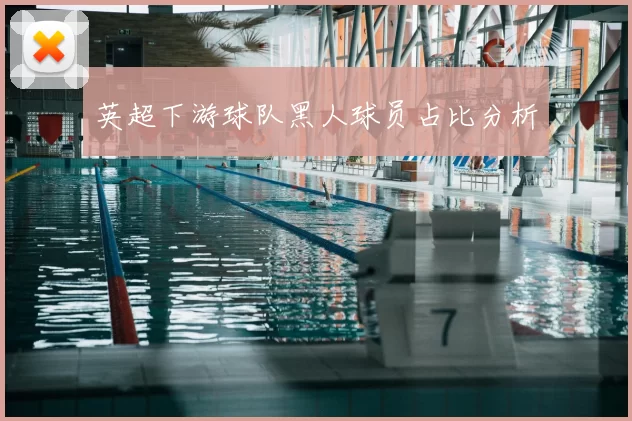英超下游球队黑人球员占比分析