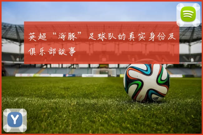 英超“海豚”足球队的真实身份及俱乐部故事