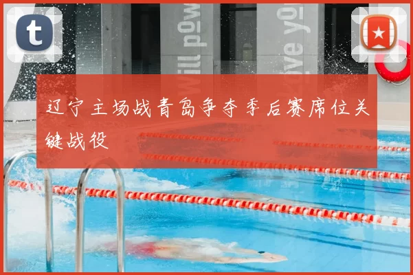 辽宁主场战青岛争夺季后赛席位关键战役