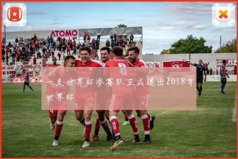 一支世界杯参赛队正式退出2018年世界杯