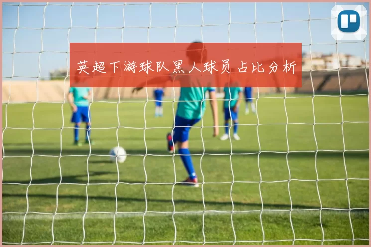 英超下游球队黑人球员占比分析
