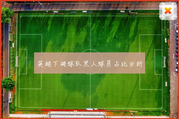 英超下游球队黑人球员占比分析