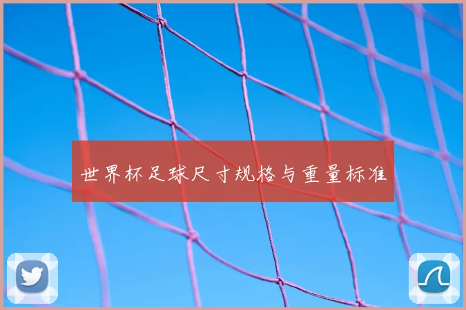 世界杯足球尺寸规格与重量标准
