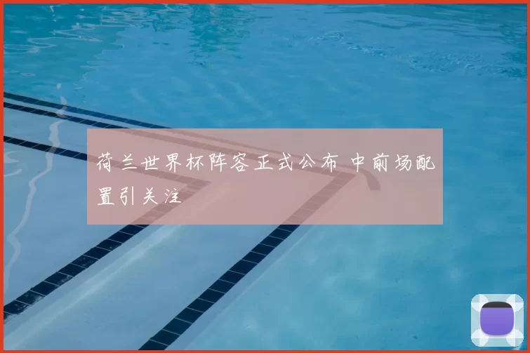 荷兰世界杯阵容正式公布 中前场配置引关注