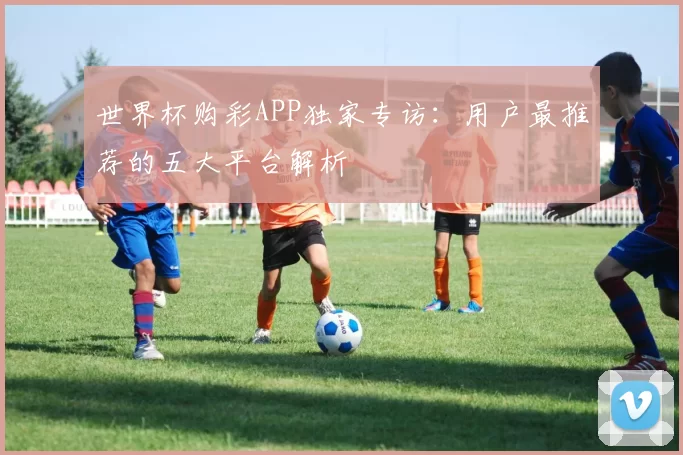 世界杯购彩APP独家专访：用户最推荐的五大平台解析