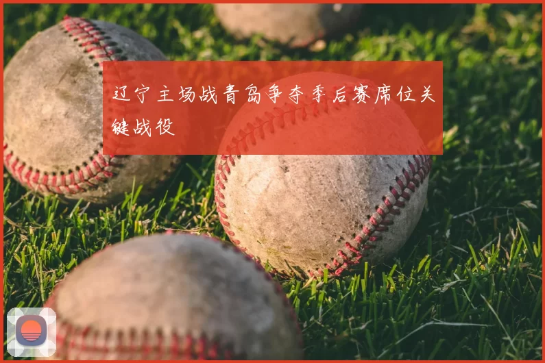 辽宁主场战青岛争夺季后赛席位关键战役
