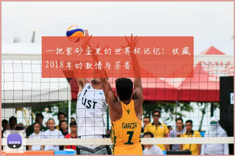 一把紫砂壶里的世界杯记忆:收藏2018年的激情与茶香