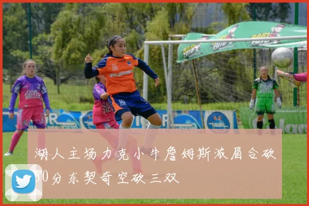 湖人主场力克小牛詹姆斯浓眉合砍60分东契奇空砍三双