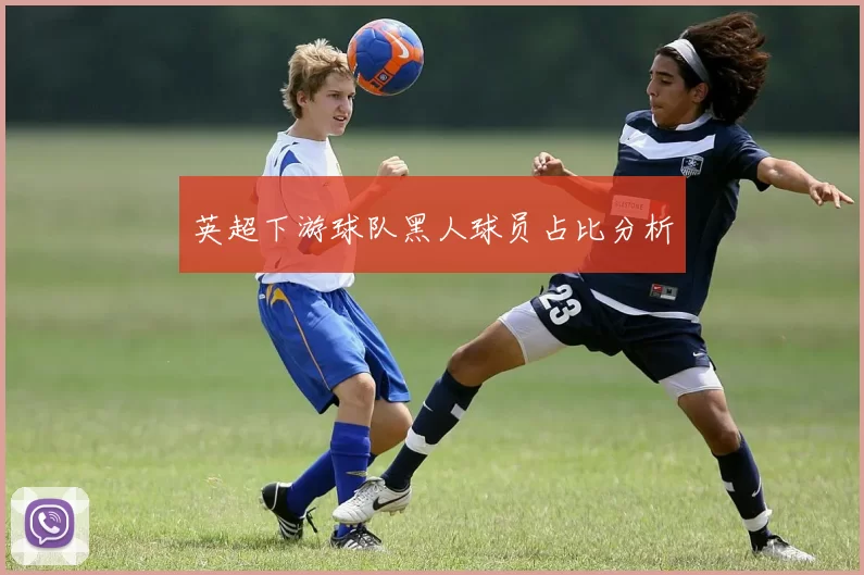 英超下游球队黑人球员占比分析