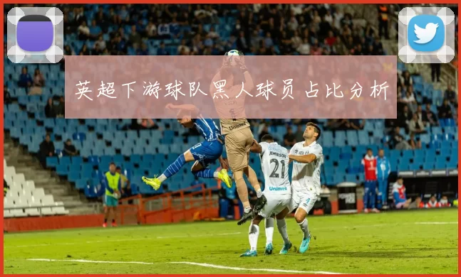 英超下游球队黑人球员占比分析