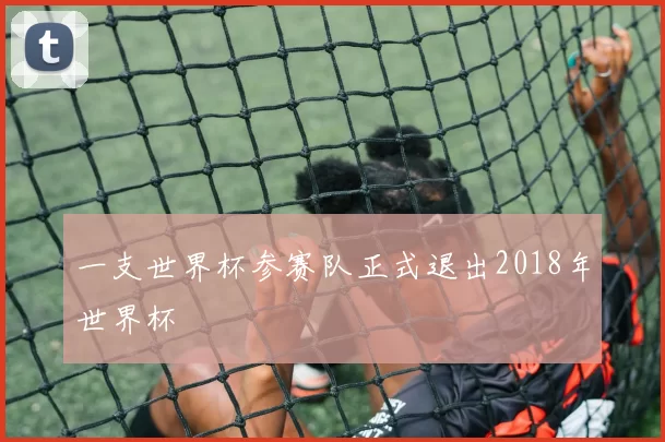 一支世界杯参赛队正式退出2018年世界杯
