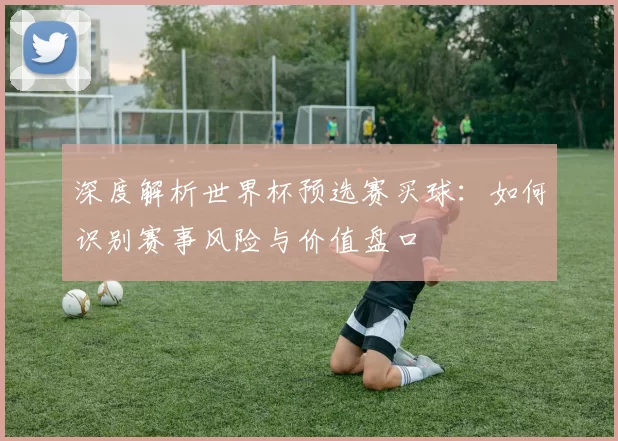 深度解析世界杯预选赛买球：如何识别赛事风险与价值盘口