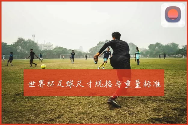 世界杯足球尺寸规格与重量标准