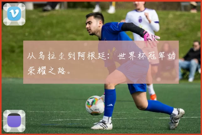 从乌拉圭到阿根廷:世界杯冠军的荣耀之路。
