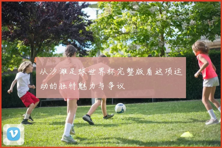 从沙滩足球世界杯完整版看这项运动的独特魅力与争议