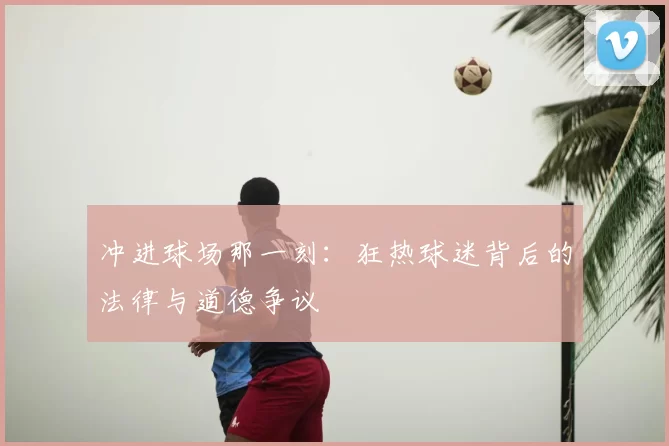 冲进球场那一刻：狂热球迷背后的法律与道德争议