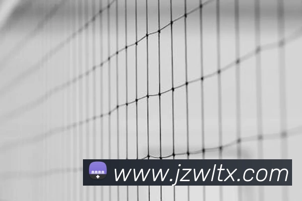 奖项图1